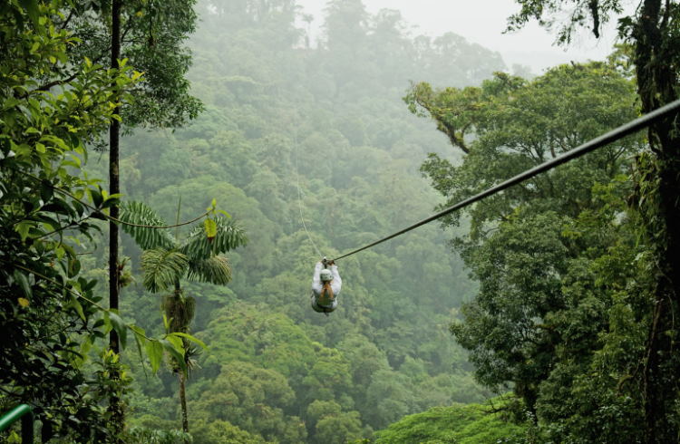 Zipline