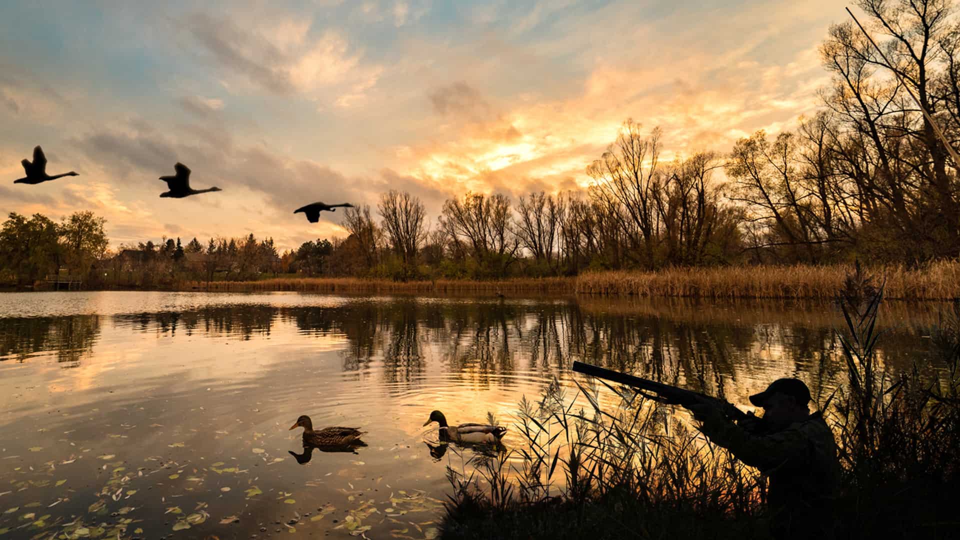 Duck Hunt
